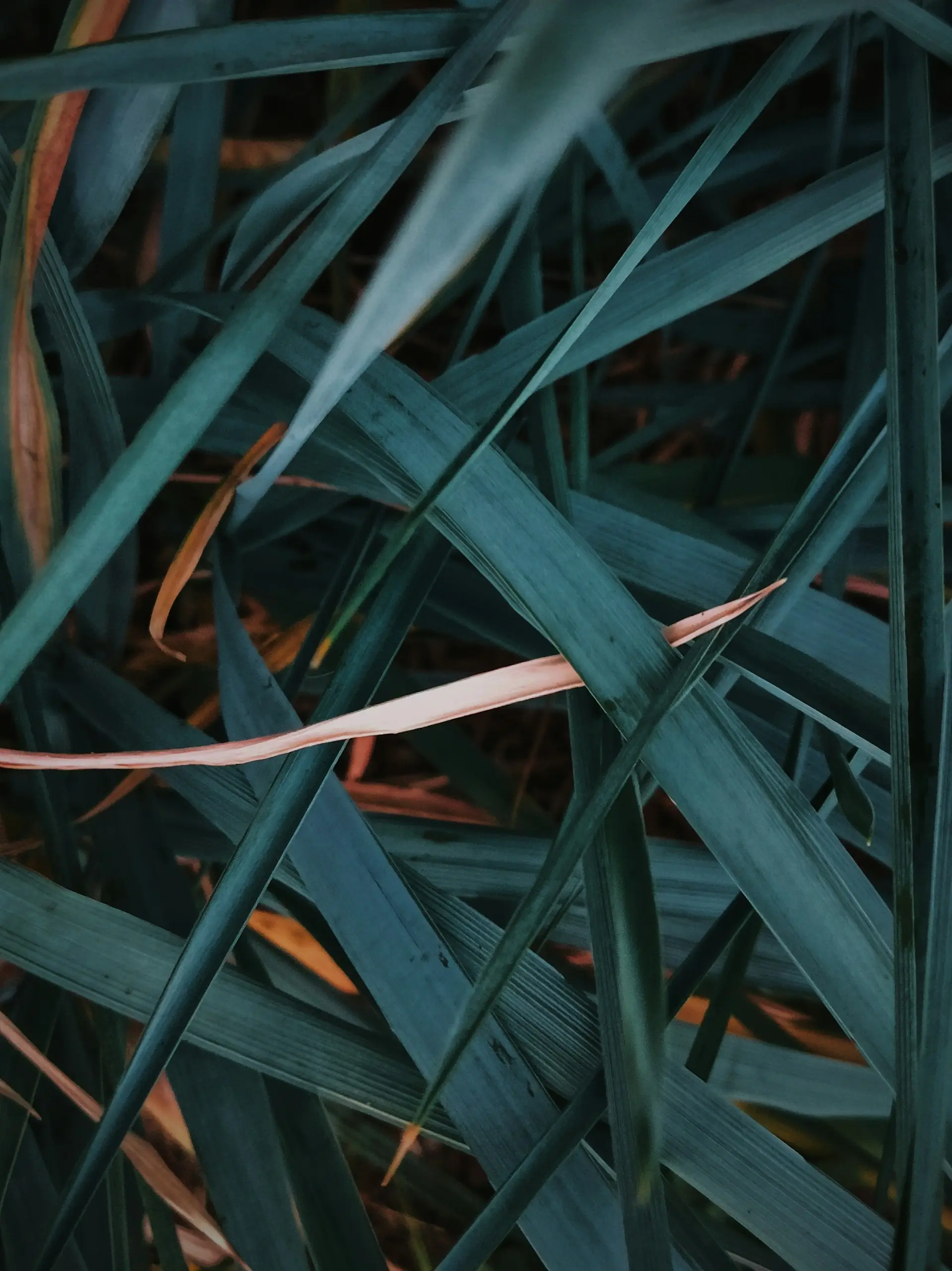 Jetzt gilt's: Nachhaltigkeitskommunikation richtig managen