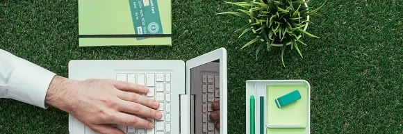 Green IT-Consultant