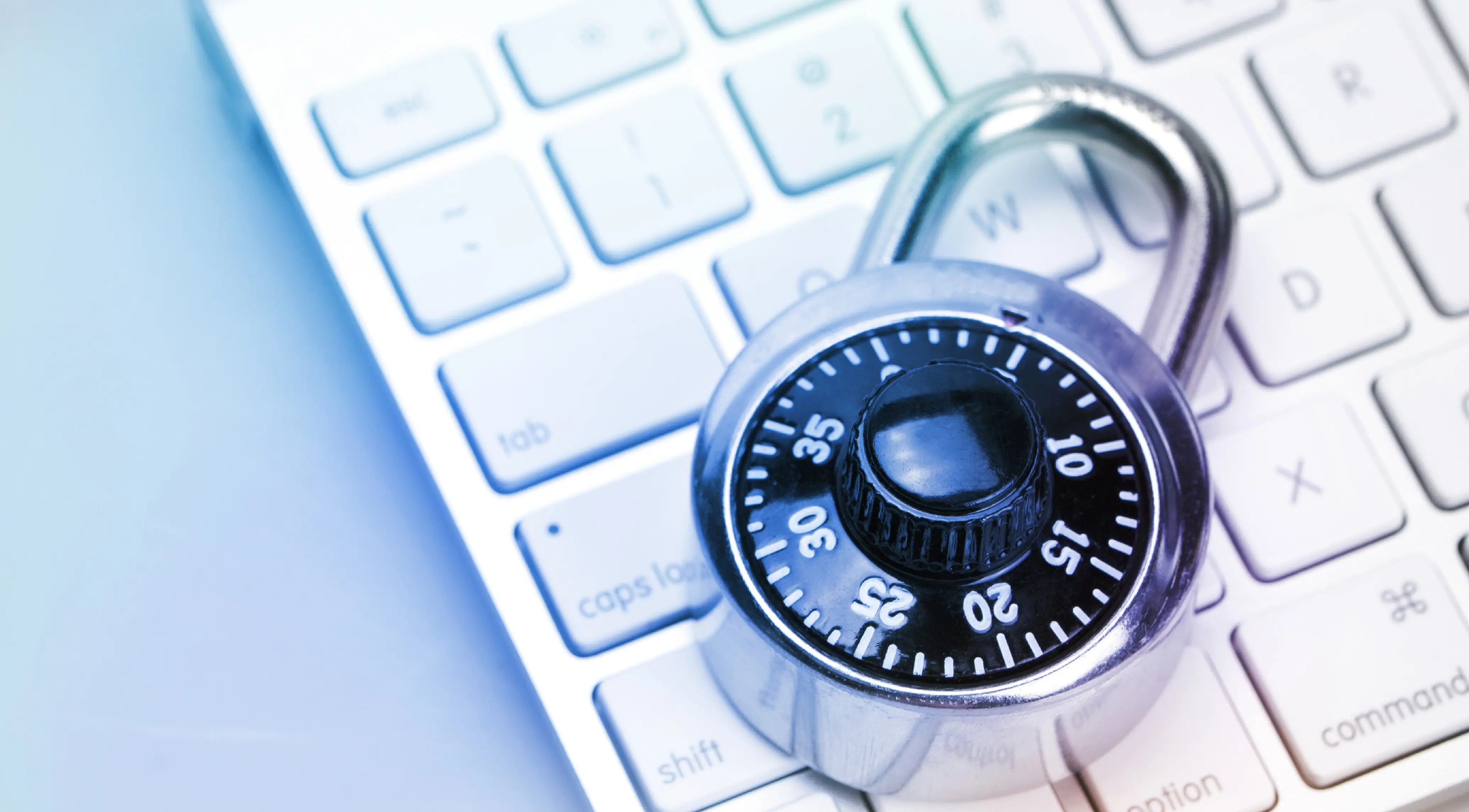 IT-Risk Manager