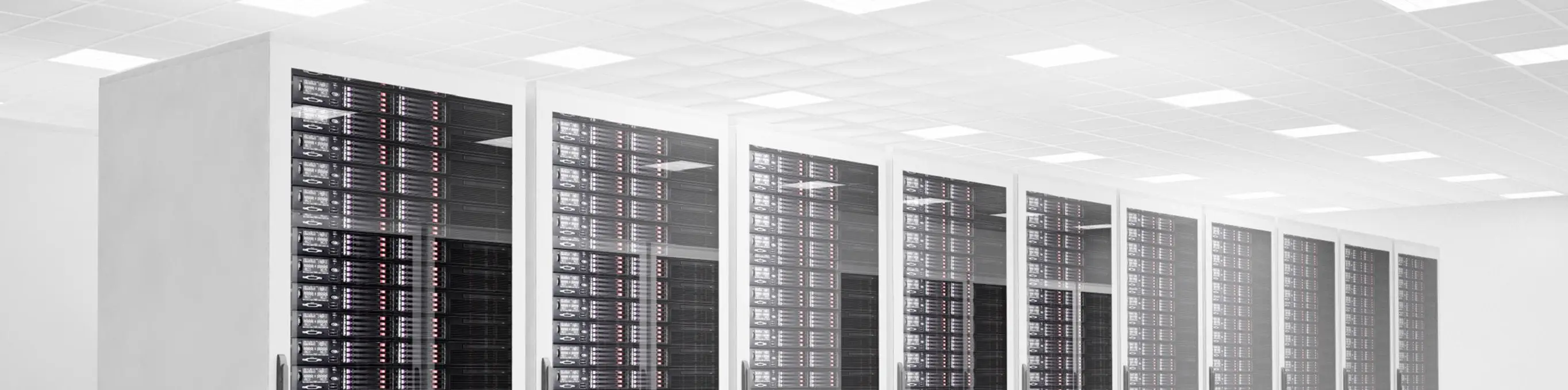 Crashkurs IT-Fortgeschrittenen-Wissen